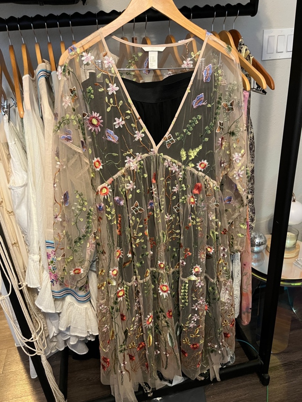 H&M Sheer Embroidered Floral & Butterfly Dress